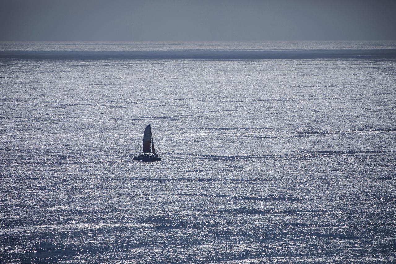 'Alohilani Resort Waikiki Beach Honolulu Exterior photo A humpback whale off the coast of Cape Cod, Massachusetts